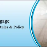 Delta Airlines Baggage Fees