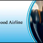 Lufthansa Is It a Good Airline? 