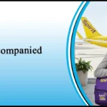 Spirit airlines unaccompanied minor Policy