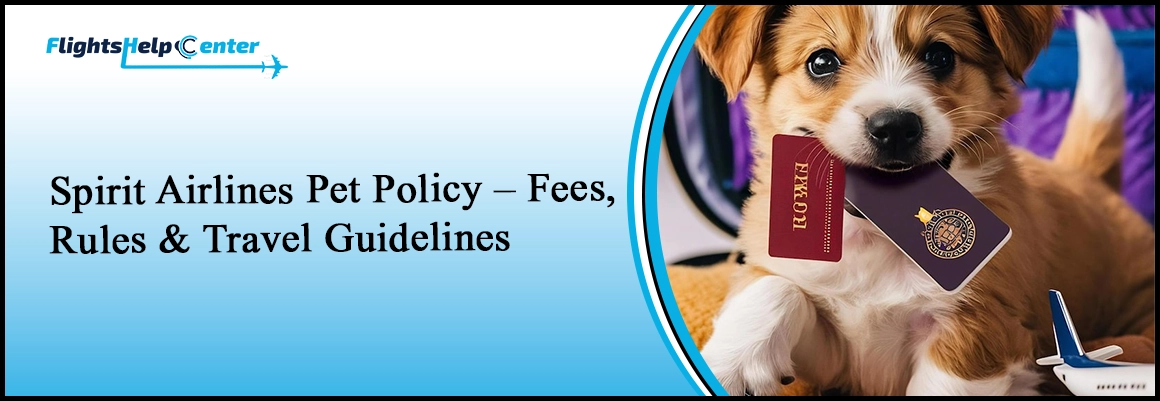 Spirit Airlines Pet Policy