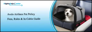 Avelo Pet Policy