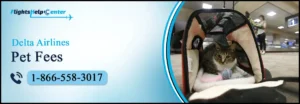 delta airlines pet fees
