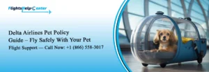 Delta Pet Policy