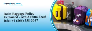 Delta Airlines Baggage Policy