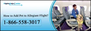 How to Add Pet to Allegiant Flight
