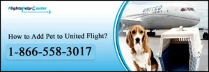 How to Add Pet to United Flight