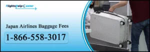 Japan Airlines Baggage Fees