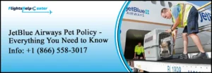 JetBlue Pet Policy