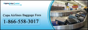 Copa Airlines Baggage Fees