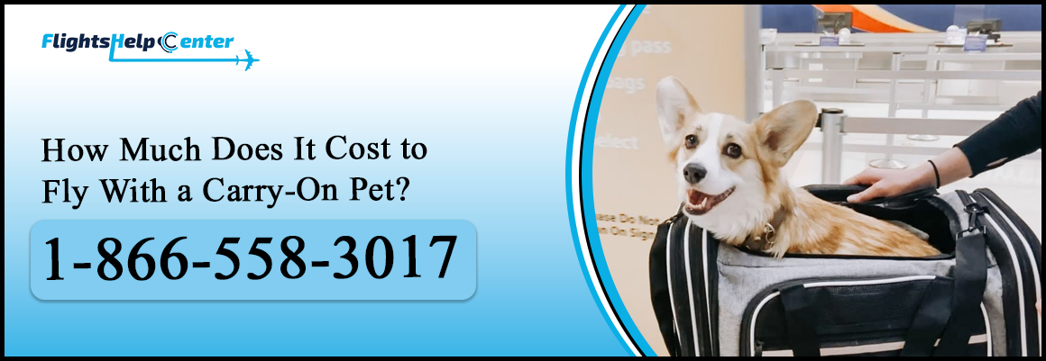 How Much Is a Carry-On Pet Fee