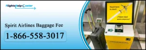 Spirit Airlines Baggage Fees