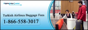 Turkish Airlines Baggage Fees