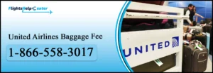 United Airlines Baggage Fee
