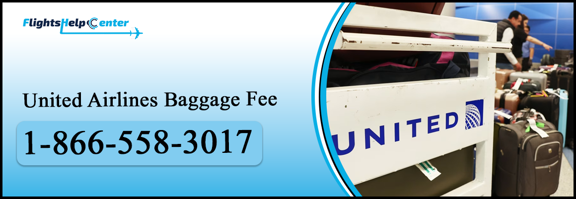 United Airlines Baggage Fee