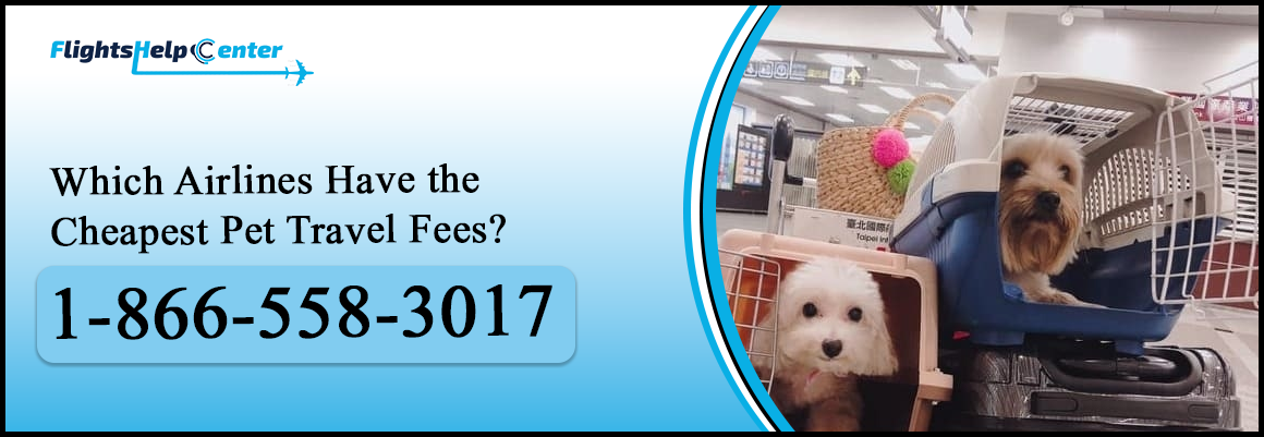 Which Airline Has the Cheapest Pet Fees