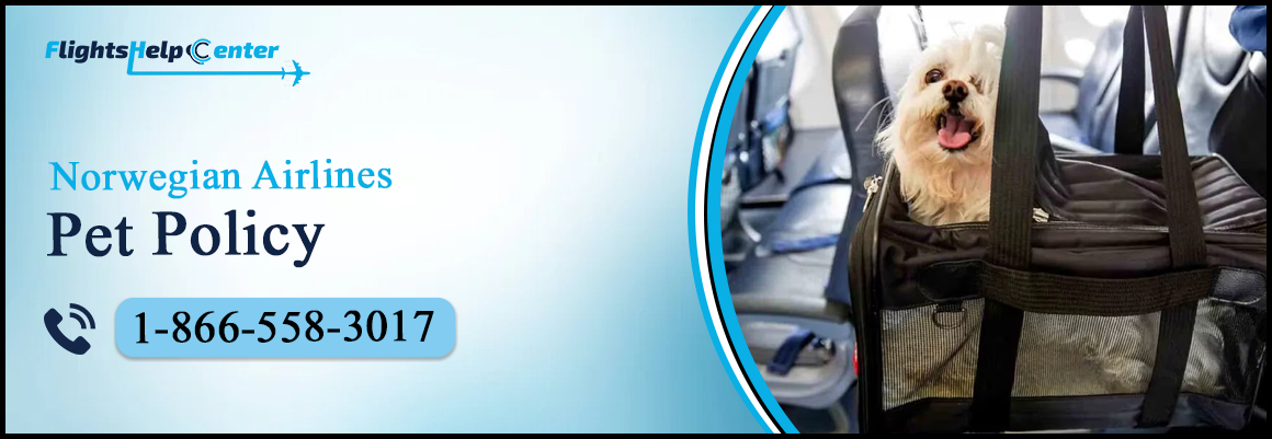 Norwegian Airlines Pet Policy